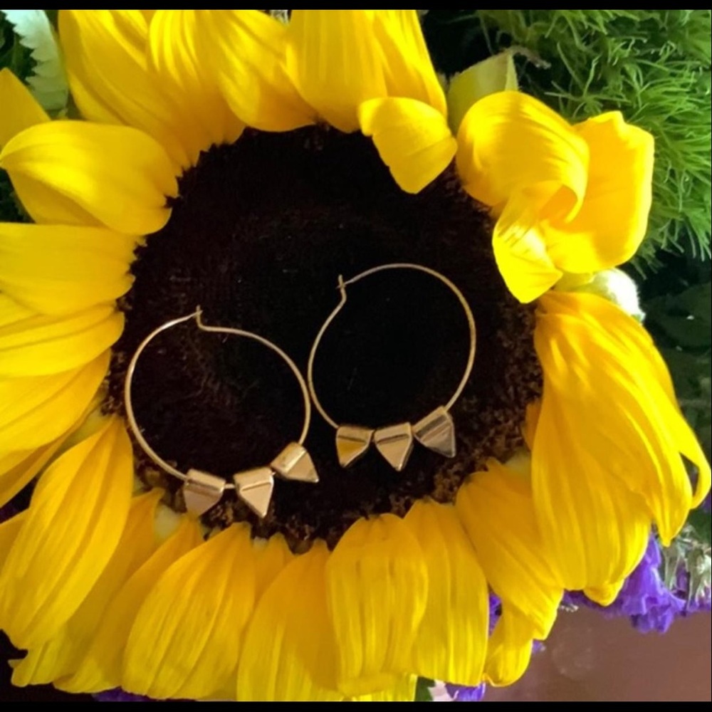 Hoop Earrings